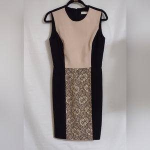 Calvin Klein Pink and white with lace size 6